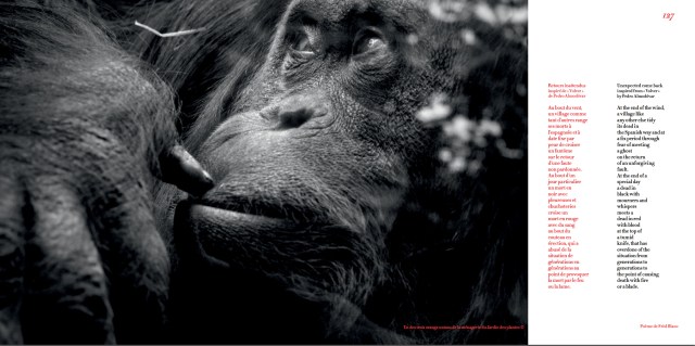 Capture d’écran 2014-02-15 à 18.12.46