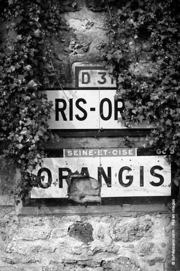 ris-orangis-en-images-inauguration-de-la-brianciere-160528-markiii-1541