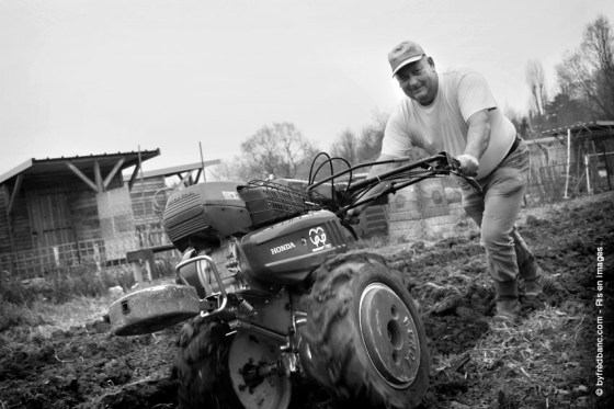 ris-orangis-en-images-les-jardins-familiaux-160319-markiii-524